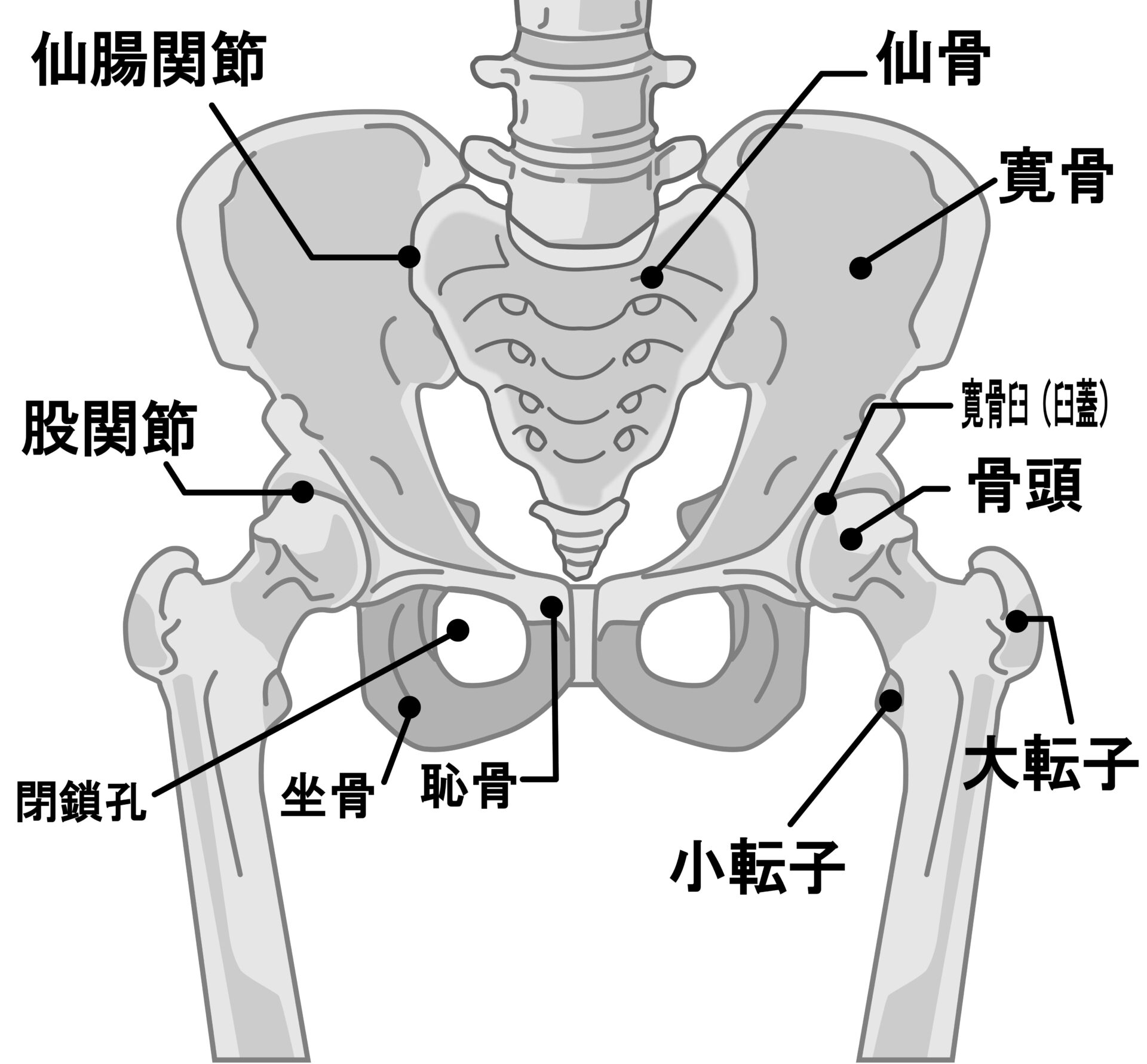 仙腸関節障害