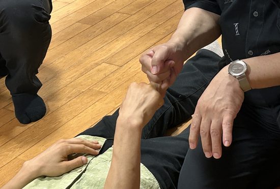 妙見活法的神経伝達法